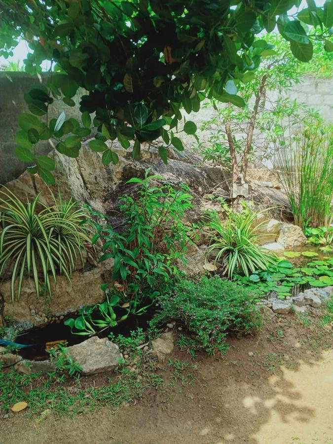 Sidhangana Home Stay Анурадхапура Екстериор снимка