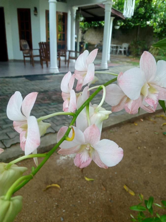 Sidhangana Home Stay Анурадхапура Екстериор снимка