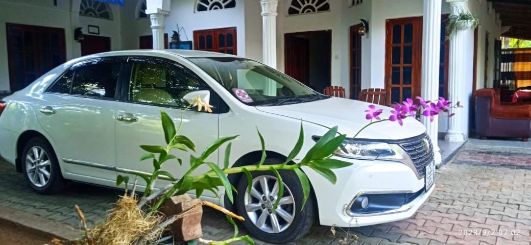 Sidhangana Home Stay Анурадхапура Екстериор снимка